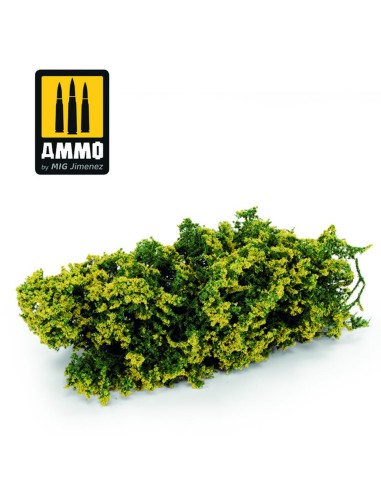 Shrubs - Goldfinger 