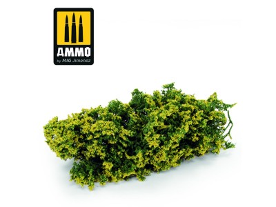 Shrubs - Goldfinger 