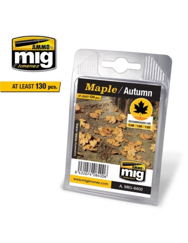 Maple - Autumn 