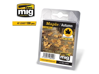 Maple - Autumn 