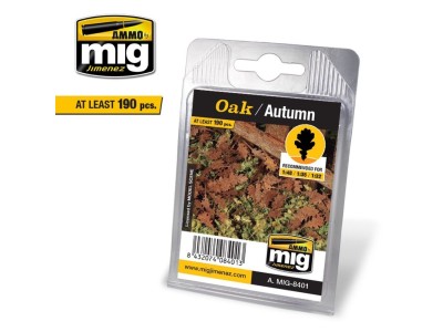 Oak - Autumn 