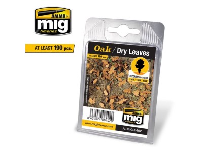 Oak - Dry Leaves 