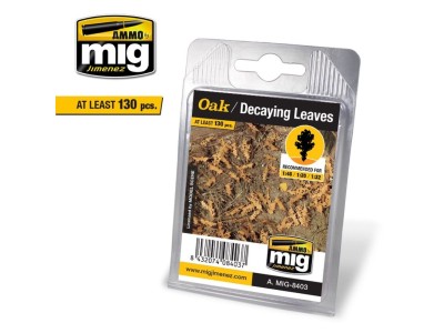 Oak - Decaying Leaves 