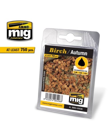 Birch - Autumn 