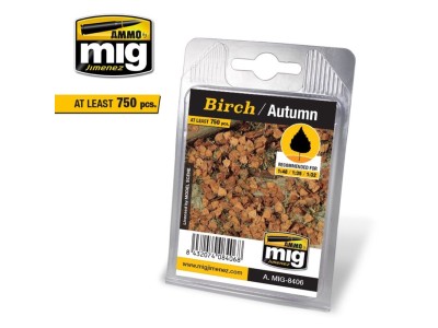 Birch - Autumn 