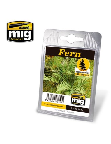 Fern 