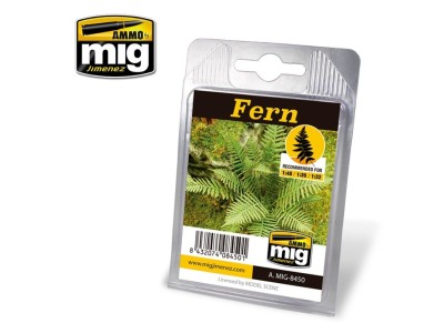 Fern 