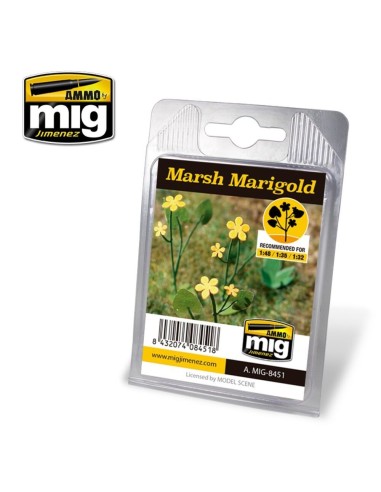 Marsh Marigold 