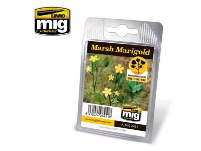 Marsh Marigold 