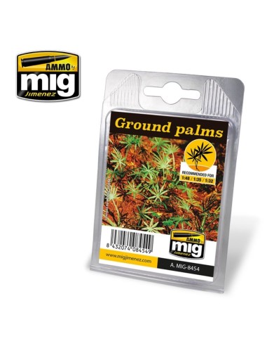 Ground Palms 