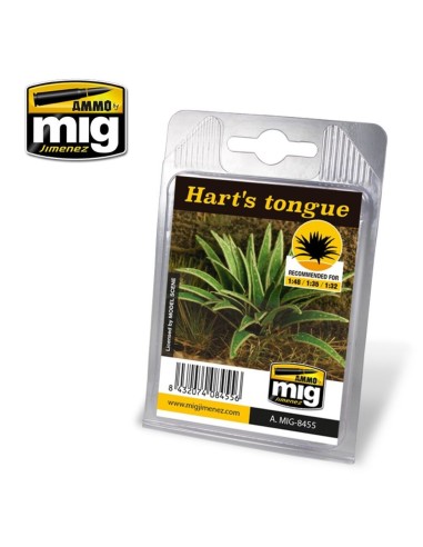 Hart's Tongue 