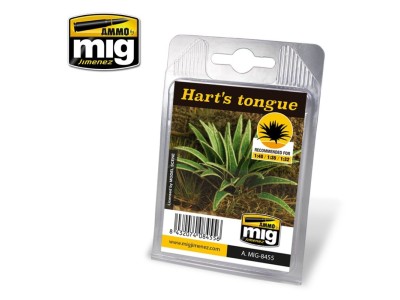 Hart's Tongue 