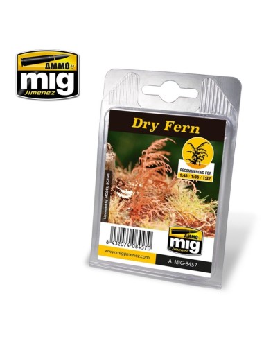Dry Fern 