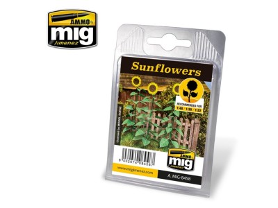 Sunflowers 