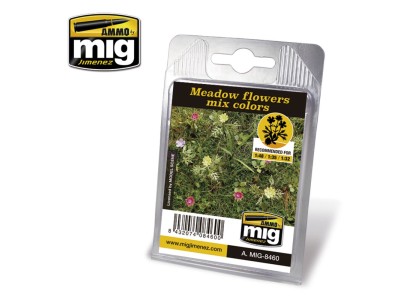 Meadow Flowers Mix Colors 