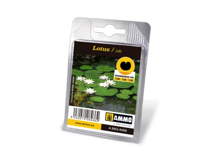 Lotus 