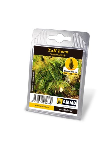 Tall Fern 