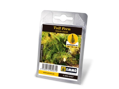 Tall Fern 