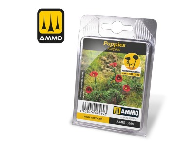 Poppies 