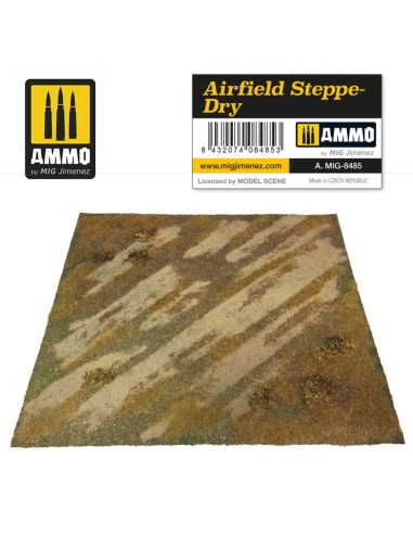 Airfield Steppe-Dry 