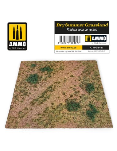 Dry Summer Grassland 
