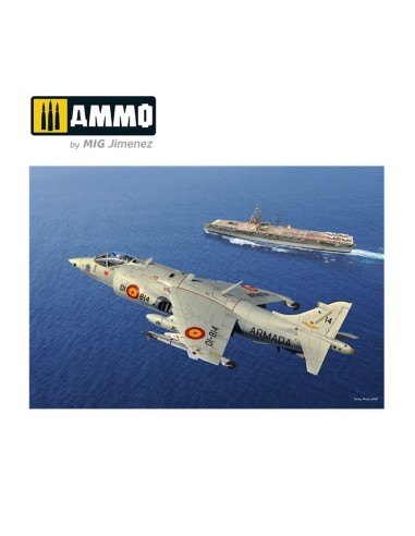 1/48 Harrier AV-8S Matador - Spanish, American, British versions 