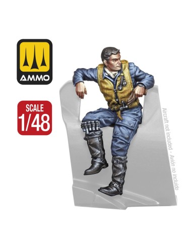 WWII German Pilot 