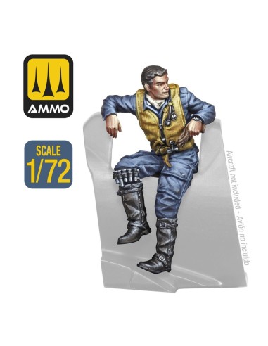 WWII German Pilot 