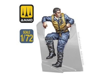 WWII German Pilot 