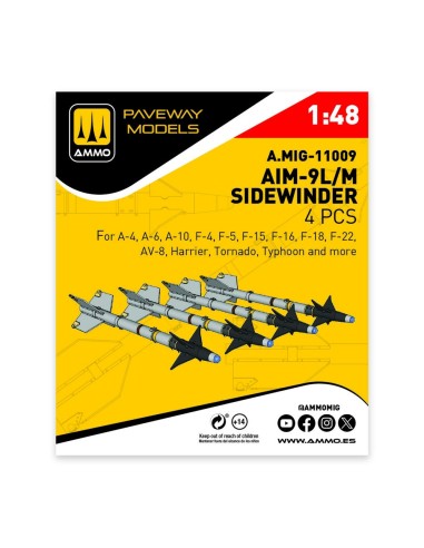 AIM-9L/M Sidewinder (4 pcs) 