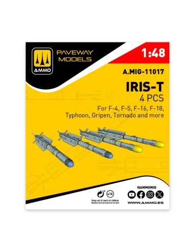 IRIS-T (4 pcs) 