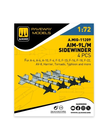 AIM-9L/M Sidewinder (4 pcs) 