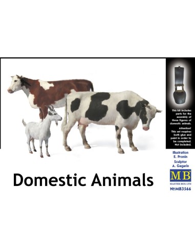 Domestic animals 