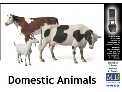 Domestic animals 