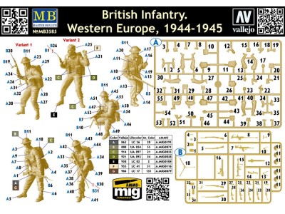 British Infantry. Western Europe. 1944-1945 