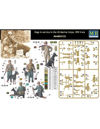 Dogs in service in US Marine Corps 