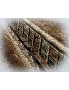 The trench. WWI & WWII era  2