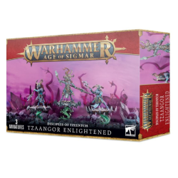 TZEENTCH ARCANITES TZAANGOR ENLIGHTENED
