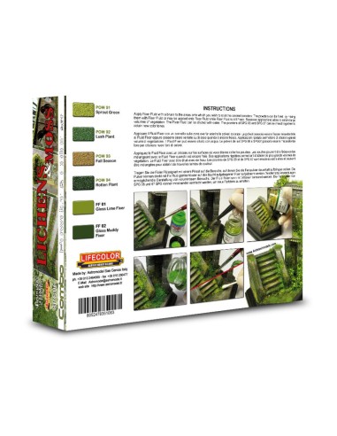 Lichens & Moss 6 x 22 ml 