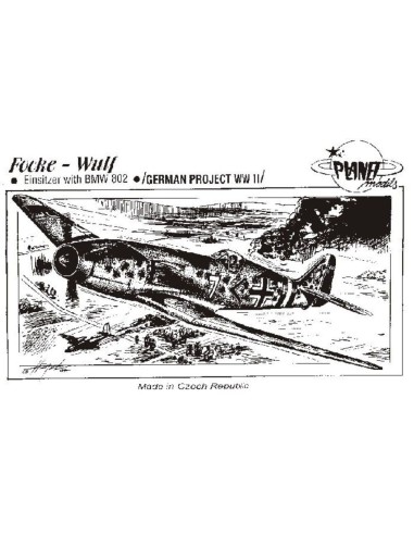 Focke-Wulf Einsitzer mit BMW 802 
