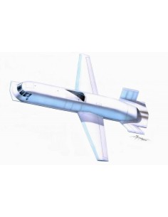 Northrop Tacit Blue 