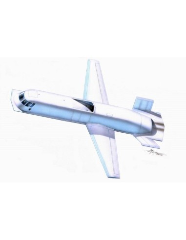 Northrop Tacit Blue 