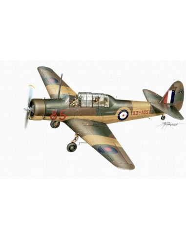 CAC CA-6 Wackett 
