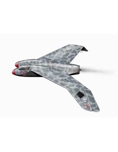 Heinkel P.1078 B 