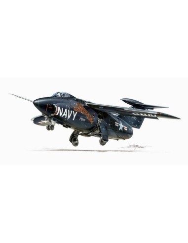 Grumman XF-10F-1 Jaguar Swing Wing 