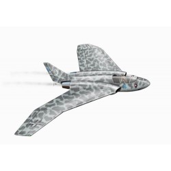 Heinkel P.1079 B 