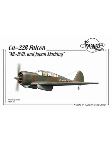 Curtiss CW-22B ML-KNIL and Japanese Marking 