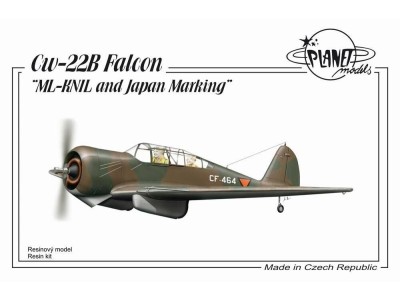 Curtiss CW-22B ML-KNIL and Japanese Marking 