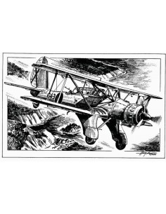 Arado Ar 95 Wheel 