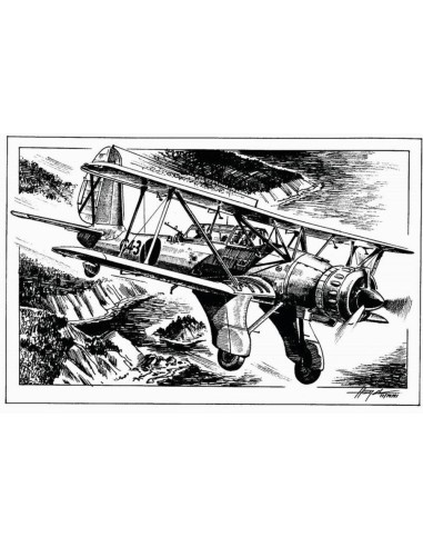 Arado Ar 95 Wheel 